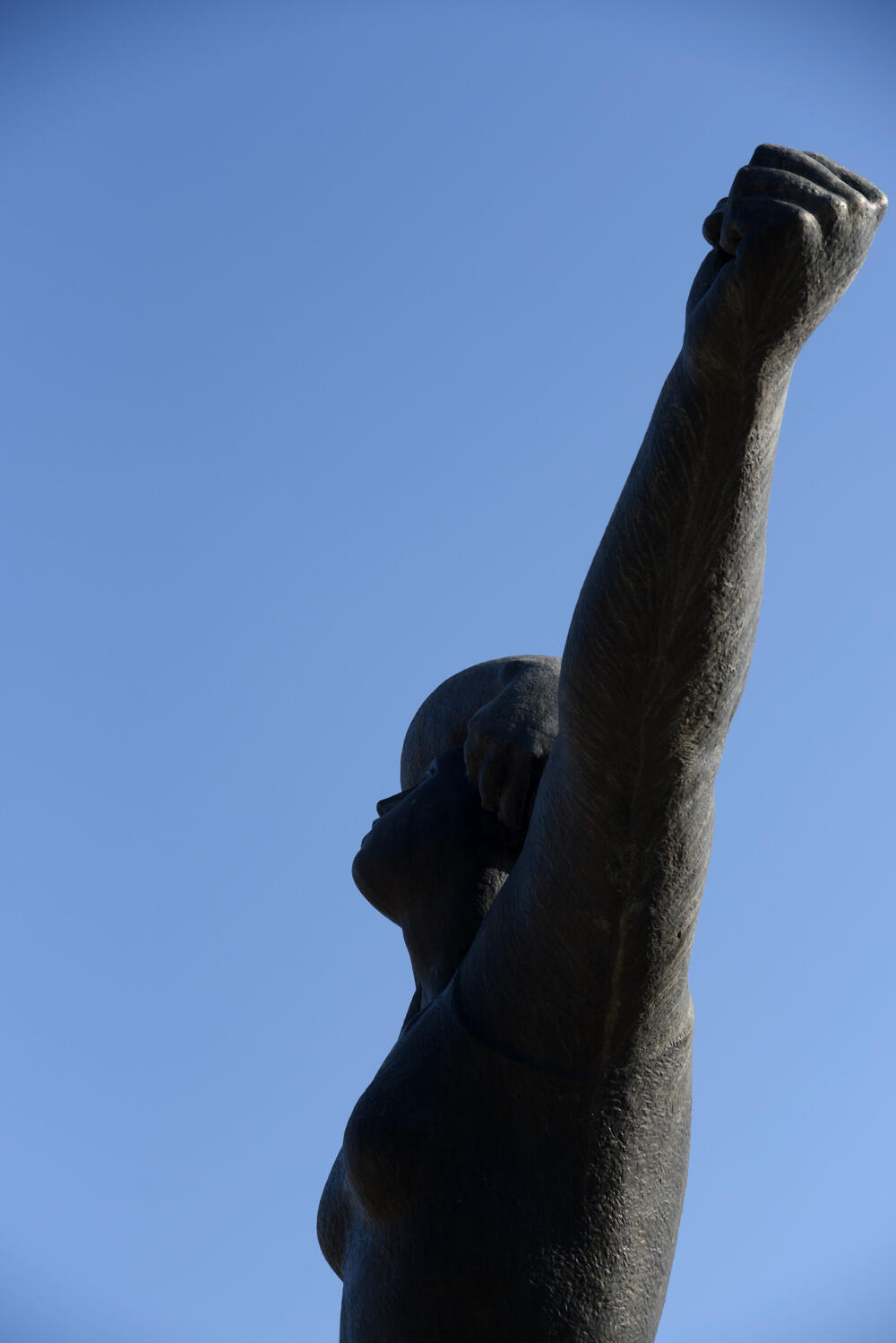 <p>Od 52 strijeljanih pripadnika Saveza komunističke omladine Jugoslavije 22. jula 1944. godine, 24 su bile žene, a zločin se pripisuje njemačkim okupatorima i domaćim izdajnicima - četnicima</p>