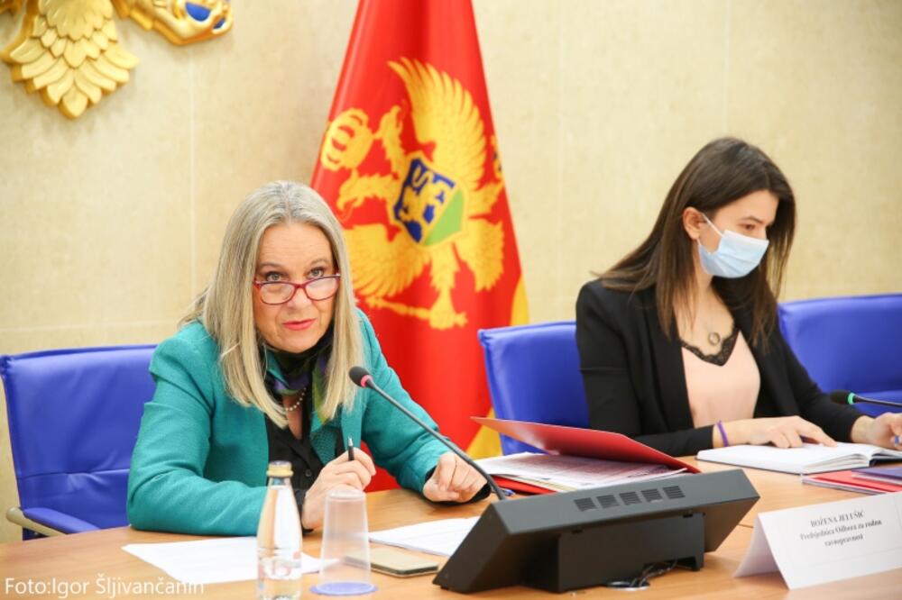 Božena Jelušić, predsjednica Odbora za rodnu ravnopravnost, Foto: Skupština Crne Gore