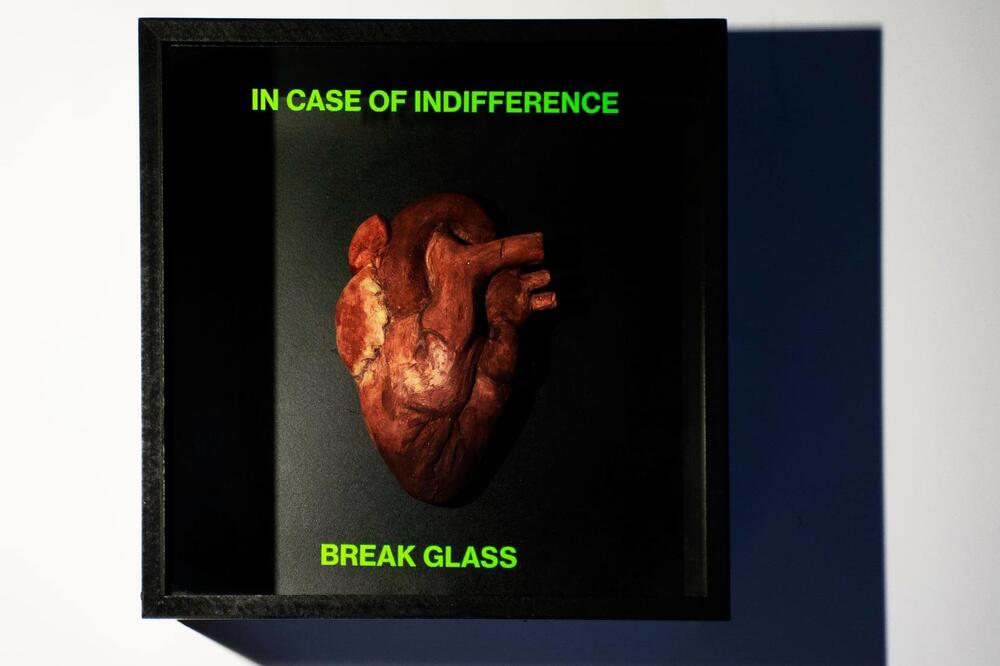 „In case of indifference break glass” Teodore Tošić, Foto: Fakultet Likovnih Umjetnosti