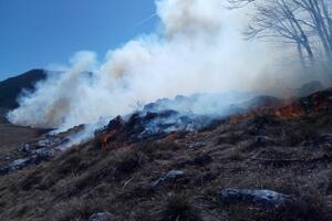 Požar u NP Lovćen i dalje aktivan