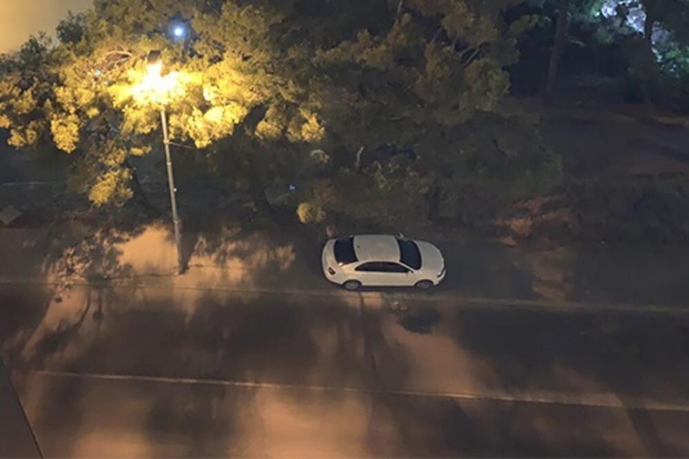 Foto: Demokratska Crna Gora