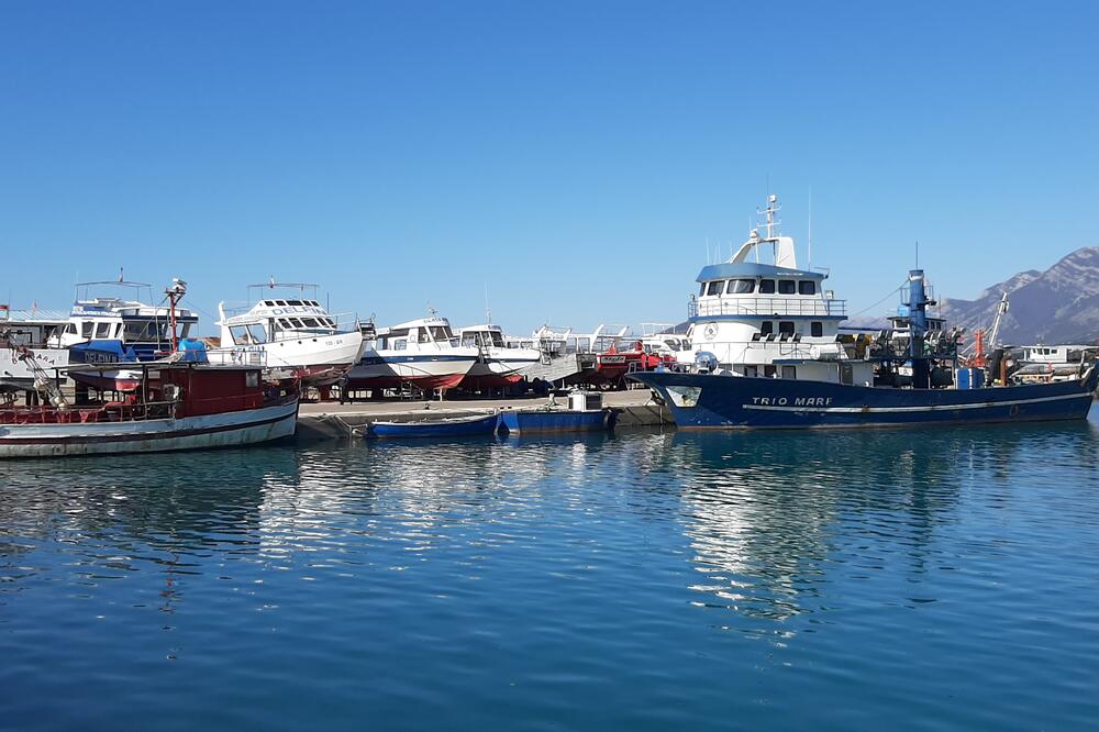 Barska marina, Foto: Siniša Luković