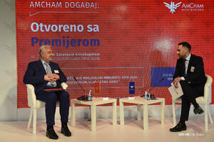 Tripković: Raduje spremnost Vlade da uključi AmCham u razmatranje...