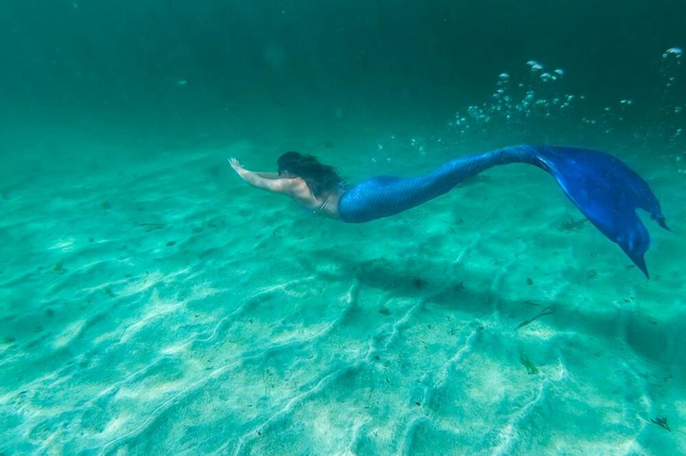 Foto: BBC Alba/MacTV