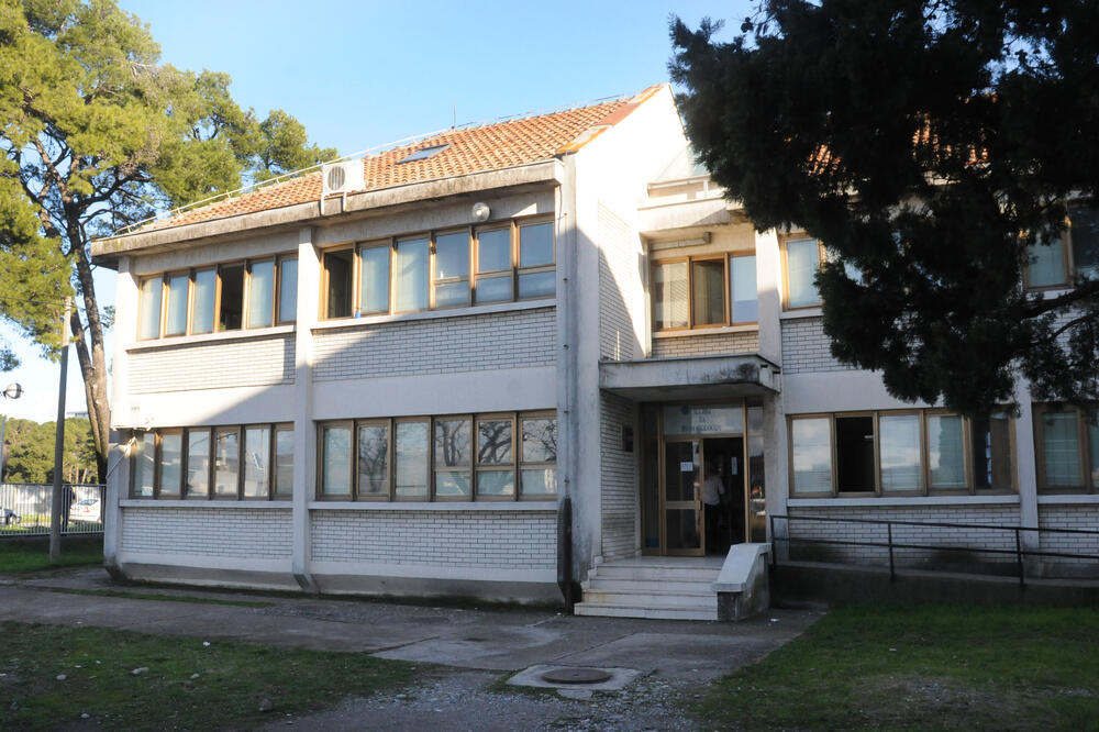 Sporno zaposlenje na Stomatološkoj poliklinici, Foto: Luka Zeković