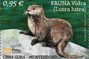 Pošta Crne Gore publikovala marku sa motivom zaštićene vrste vidre