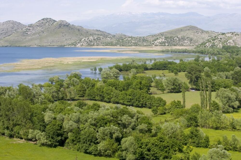 NP Skadarsko jezero, Foto: Arhiva NPCG