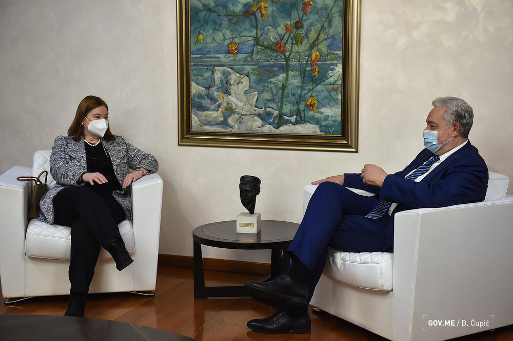 Rajnke i Krivokapić, Foto: Vlada Crne Gore