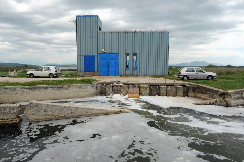 Solana Bajo Sekulić, Foto: Savo Prelević