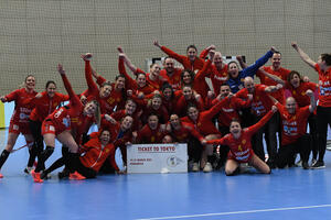 FOTO PRIČA: Slavlje "lavica" sa kartom za Tokio