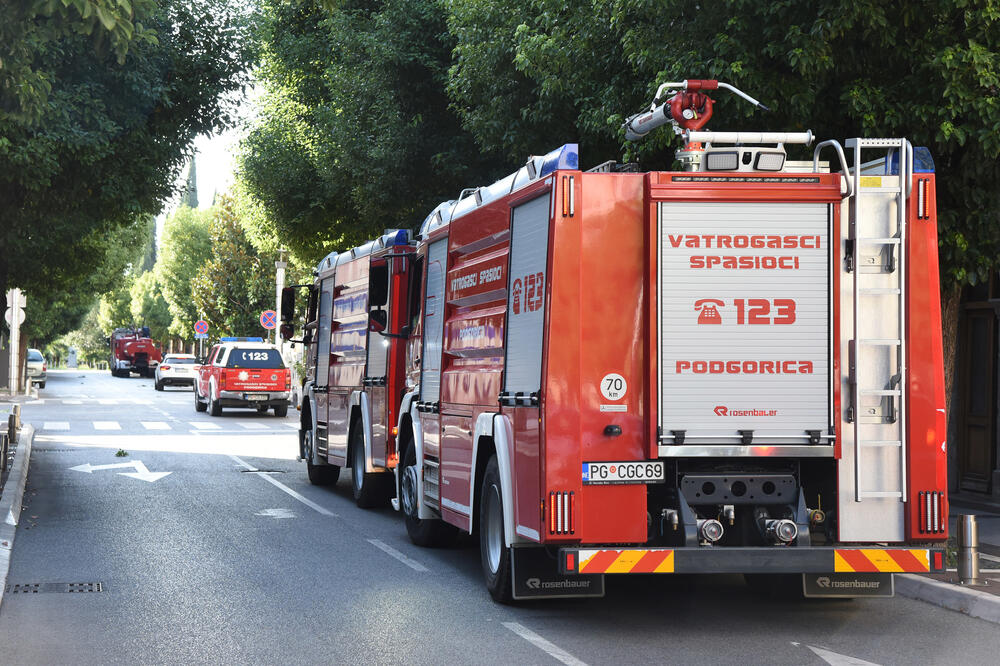 Popravka vozila pod lupom (ilustracija), Foto: Luka Zeković