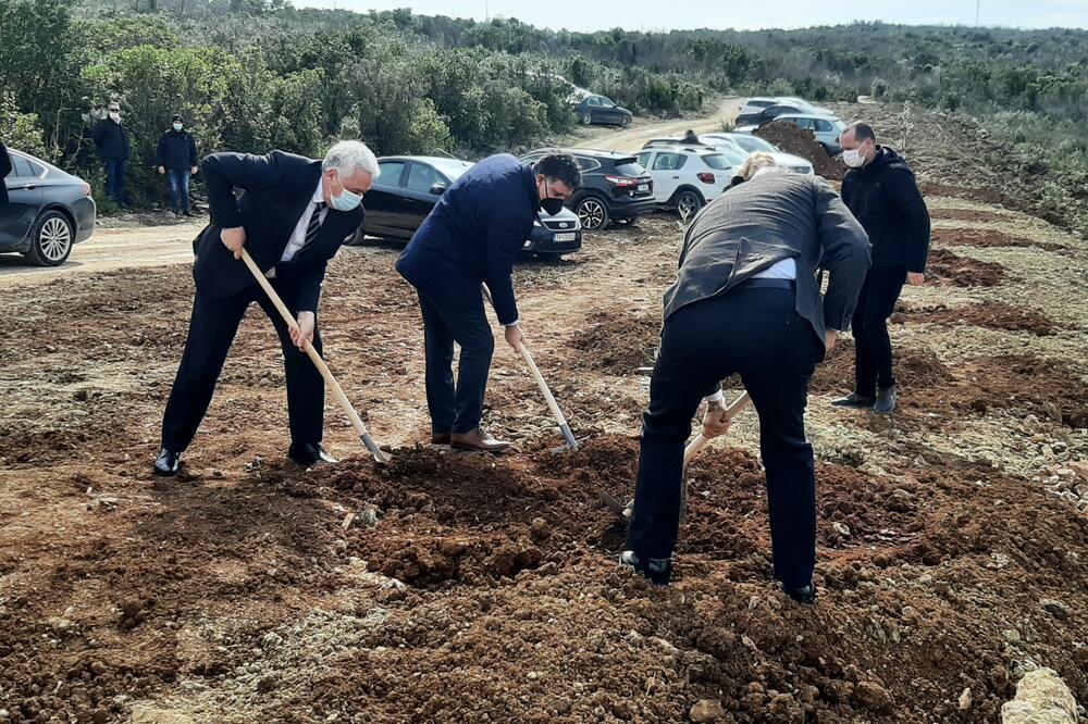 Foto: Siniša Luković