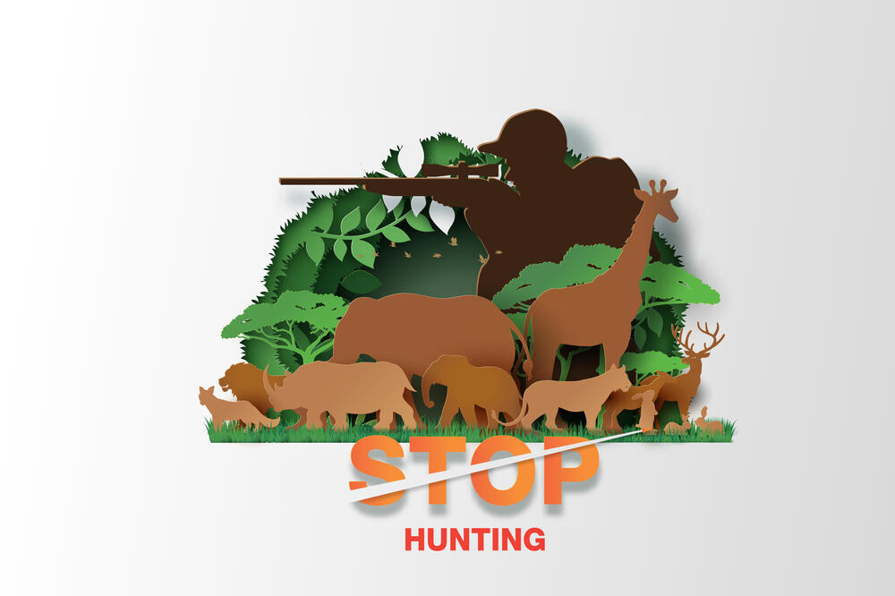 Zabrana lova (Ilustracija), Foto: Shutterstock