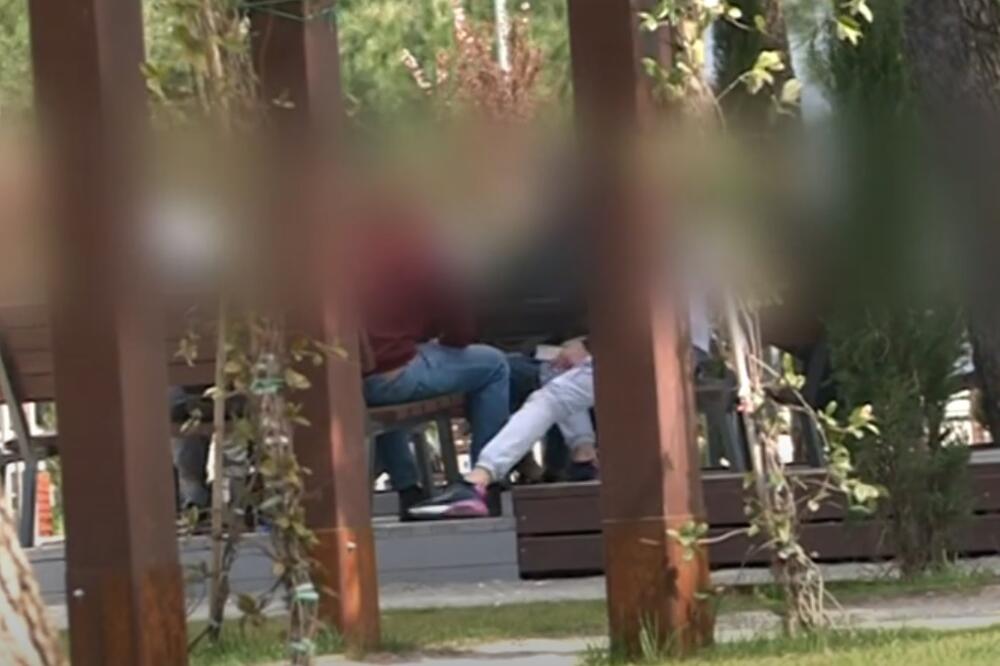 Detalj iz jednog parka, Foto: Screenshot/TV Vijesti