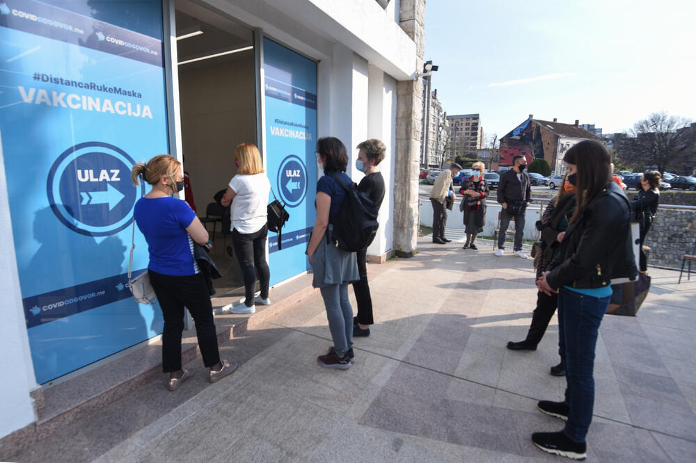 Ilustracija, Foto: Savo Prelević