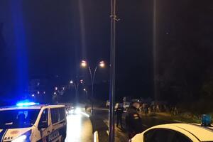 Krdo krava na bulevaru na Zavali