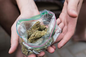 UP: Pronađena marihuana, uhapšen Podgoričanin