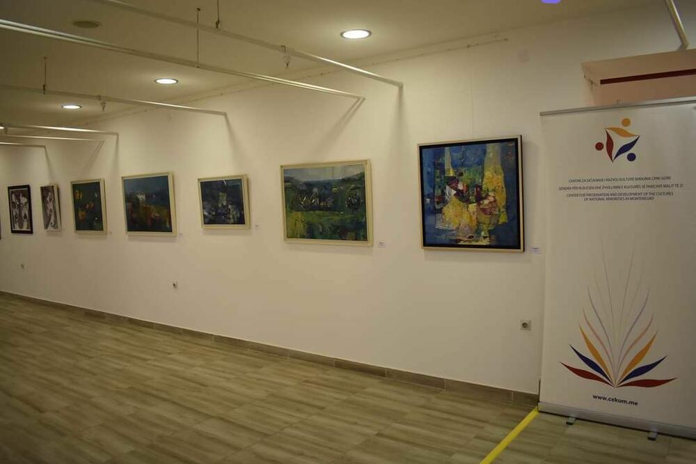 Izložba, Foto: Goran Malidžan