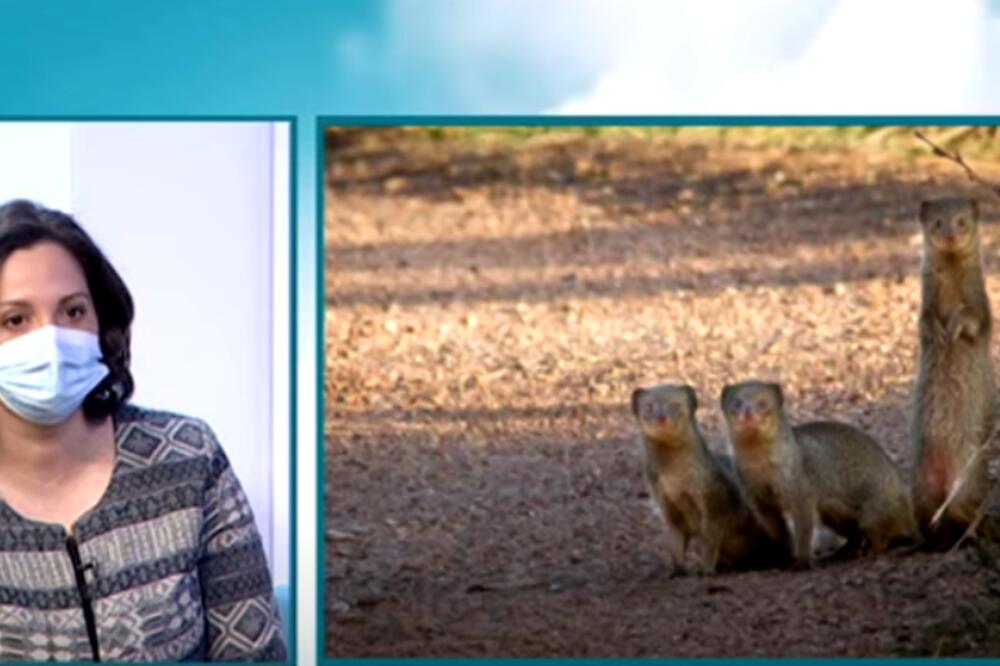 Marina Radonjić, Foto: Printscreen YouTube