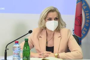 Borovinić Bojović: Nastavljaju se degutantne i sramne provokacije...