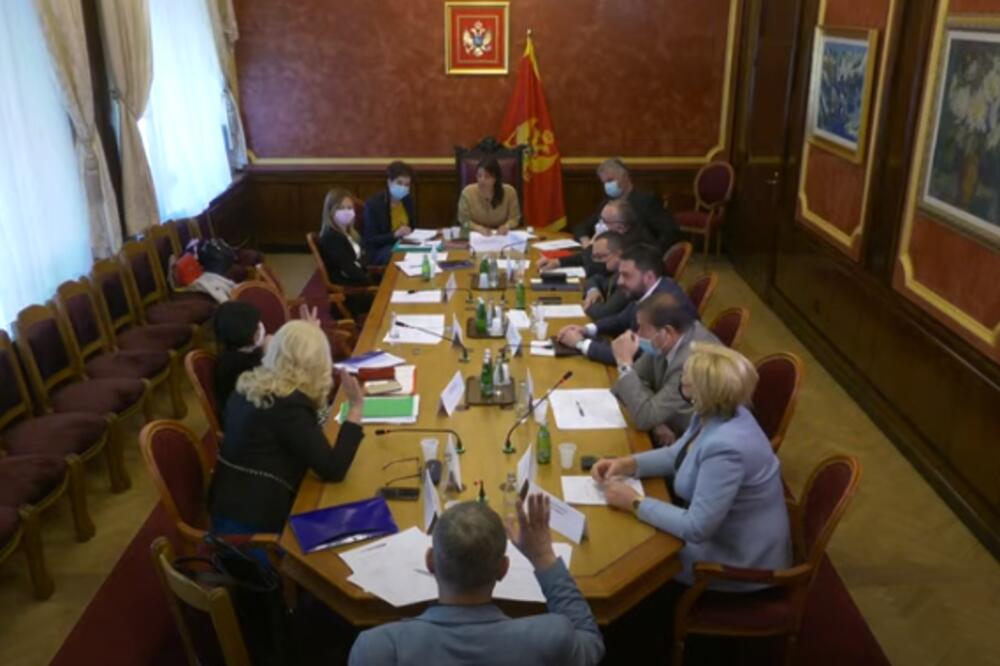 Detalj sa sjednice Ustavnog odbora, Foto: Printscreen