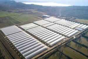 Volijevo poljoprivredno imanje