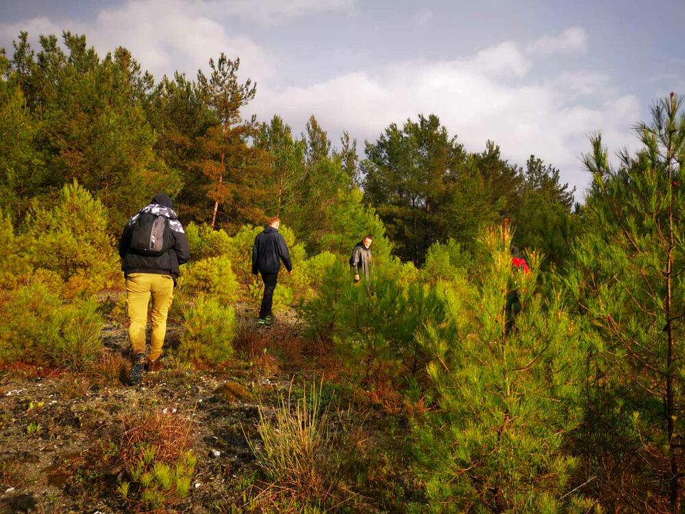 <p>Djevojčica je nađena u šumarku između tunela Vrmac i objekta KIPS-a u industrijskoj zoni Kotora</p>