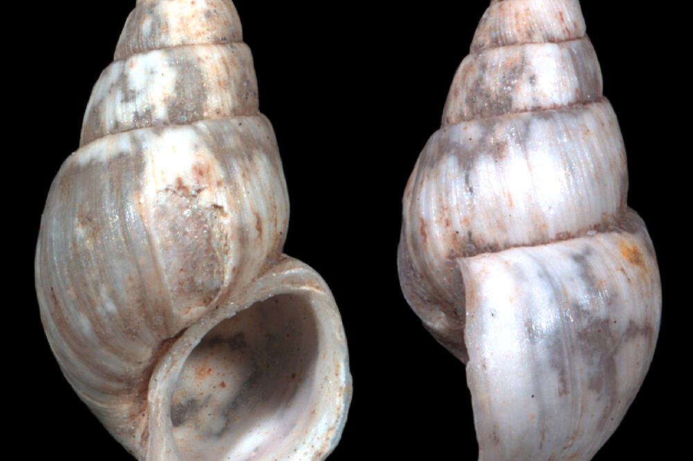 Travunijana djokovici, Foto: Privatna arhiva