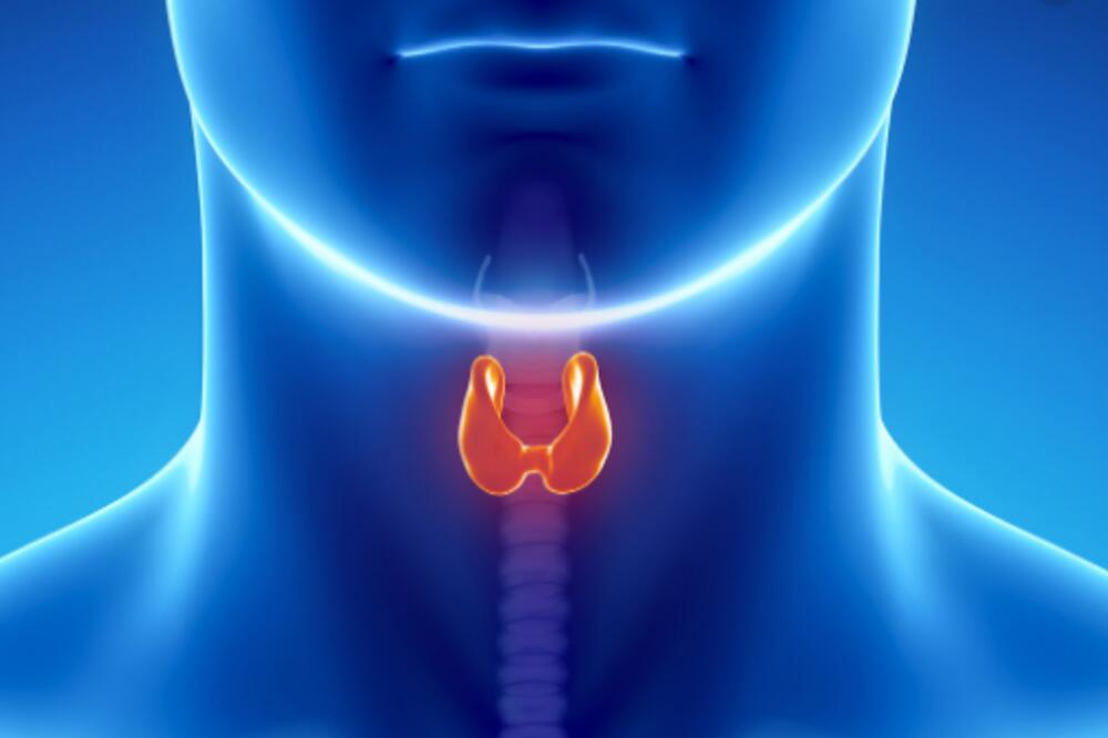 Ilustracija, Foto: Pinterest