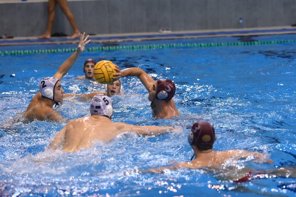 Foto: Krsto Vulović