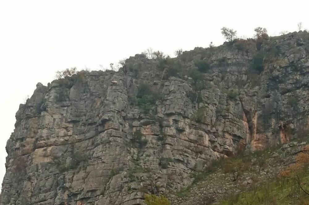 Foto: SZS Glavnog grada/Facebook