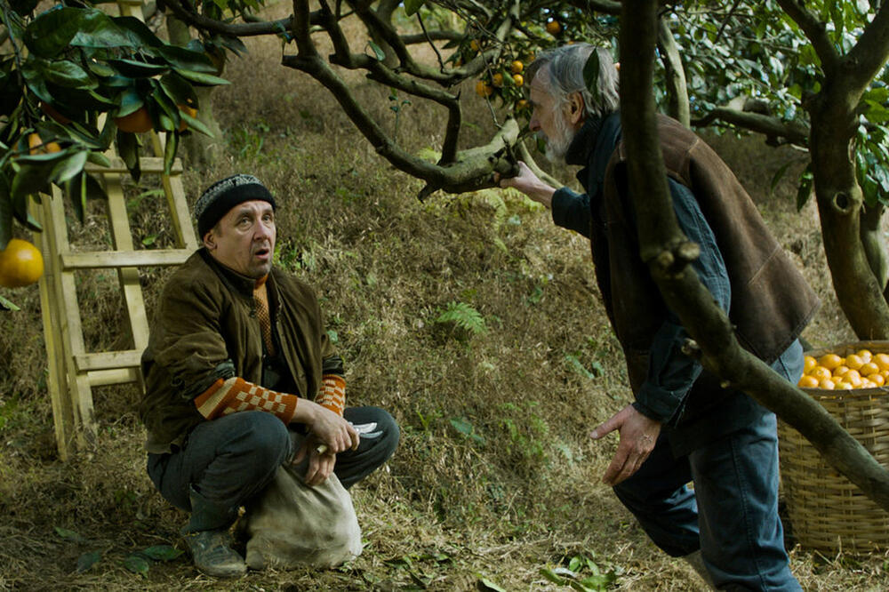 Film "Mandarine", Foto: Vijesti online