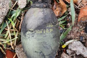 Uništena ručna bomba, Mojkovčanin teže povrijeđen