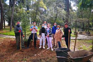 Tivat: U susret Danu planete Zemlje posađena tri himalajska kedra