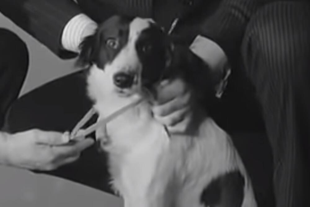 Foto: Screenshot/Youtube