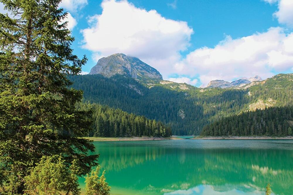 Foto: Pivara Trebjesa