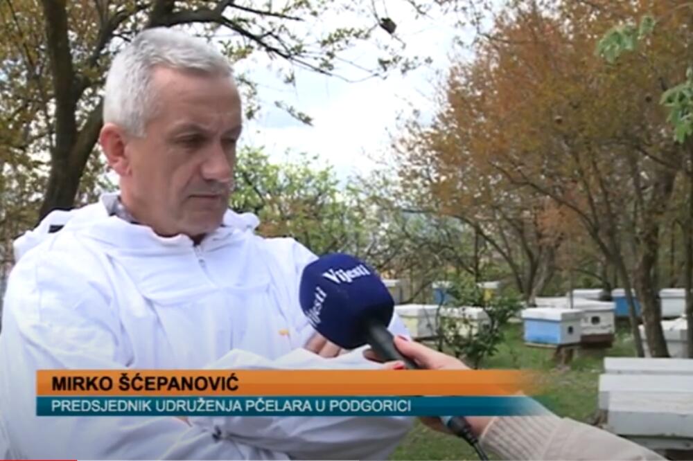 Boje jutra- Mirko Šćepanović, Foto: Printscreen YouTube