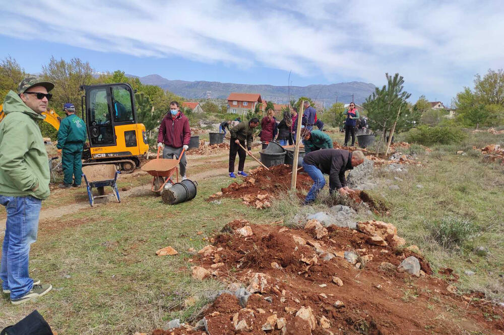 Akcija pošumljavanja, Foto: Glavni grad Podgorica