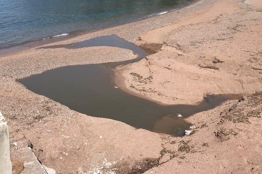 Foto: Čitalac Vijesti