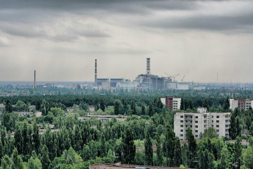 Černobilj, Foto: Shutterstock