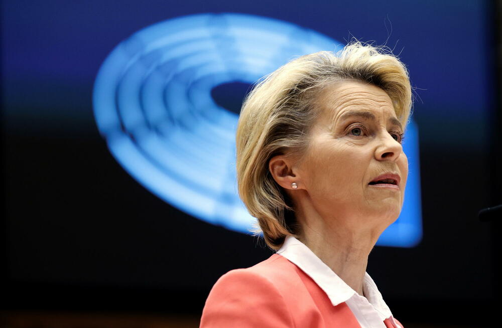 Fon der Lajen juče u Evropskom parlamentu 