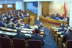 Skupština 11. maja i o smjeni Leposavića