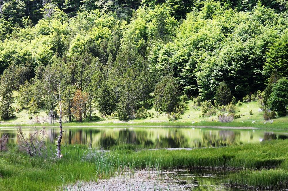 Ponikvičko jezero, Foto: Jasna Gajević
