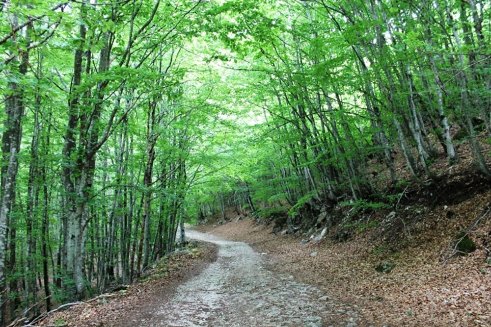 Na putu ka Ponikvičkom jezeru