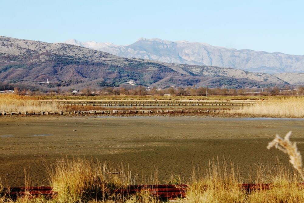 Ulcinjska solana, Foto: Jasna Gajević