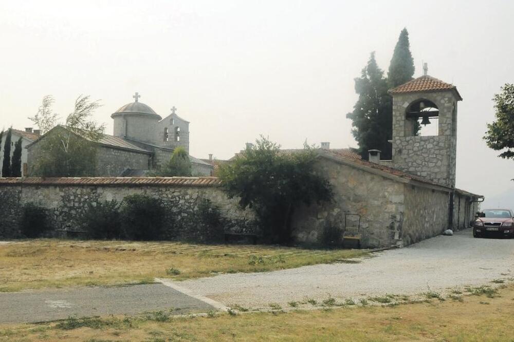 Ćelija piperska, Foto: Vesko Belojević