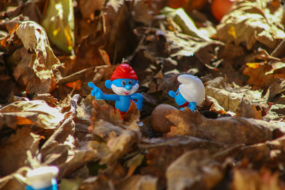 Ilustracija, Foto: Shutterstock