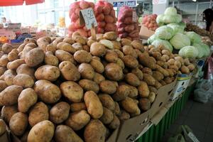 Uzgajivači krompira zbog uvoza sabiraju gubitke