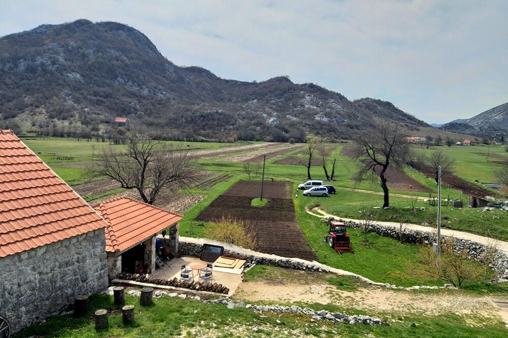 Foto: Svetlana Mandić