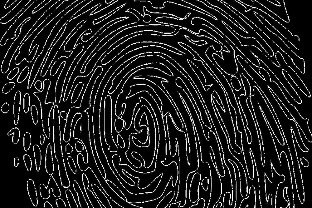 otisak prsta, Foto: Pixabay